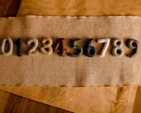 Felt Natural Numbers 0-9 / Teaching counting