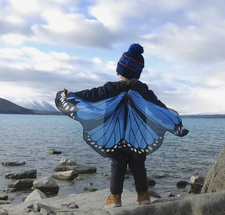 Blue Tiger Butterfly Wings / Childrens' costume