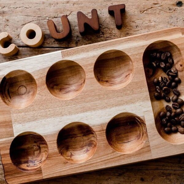 Montessori Sorting Tray