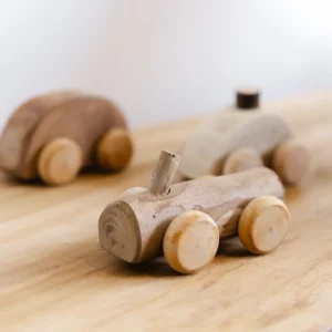 Natural Branch Vehicle (Set of 6) by QToys
