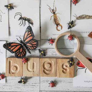 Montessori Lowercase Letter Tiles