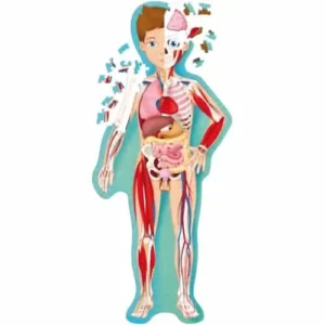 Human Body Puzzle