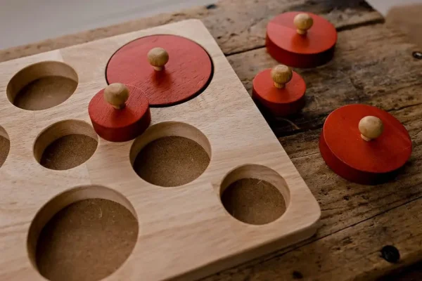 Wooden Montessori Circle Puzzle