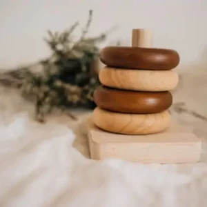 Montessori baby Rings toy