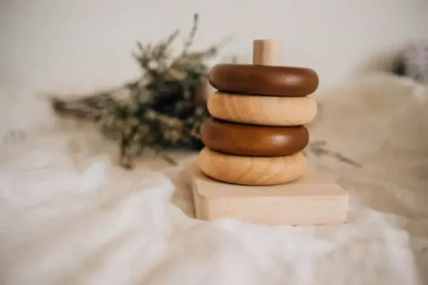 Montessori baby Rings toy