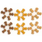 Grapat Mandala Little Mushrooms