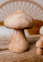 child care mushroom toys