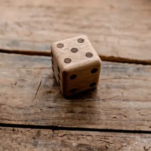 Wooden Large Dice