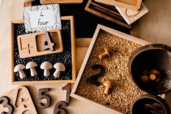 Wooden Number Counting Trays