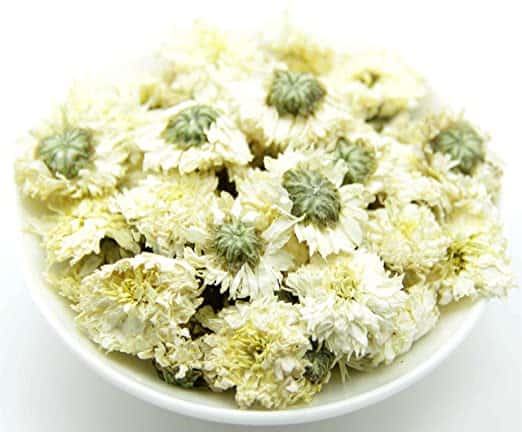 Chrysanthemum White Petals