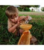 Wooden Water Ways