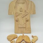 Wooden Human Body Puzzle