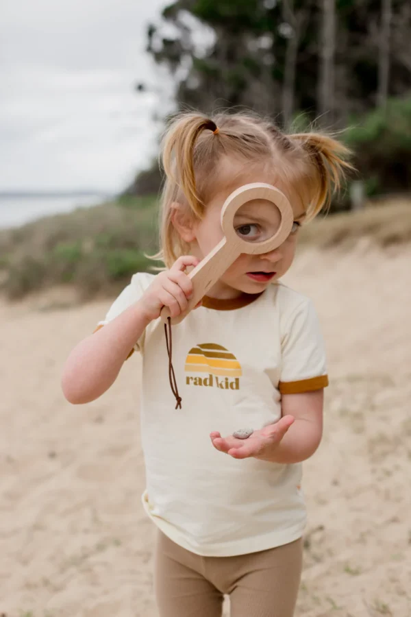 wooden-magnifying-glass-3762819