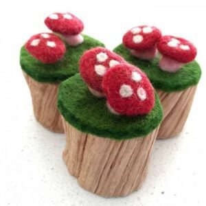 Toadstool Trunk