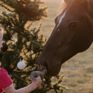 Felt Horse (Individual) by Papoose