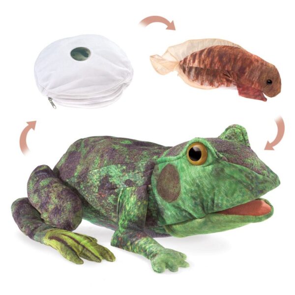 Frog Lifecycle Puppet Folkmanis