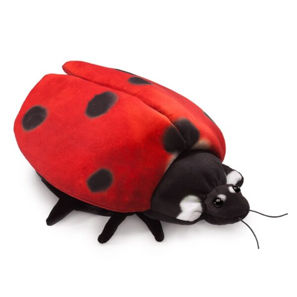 Ladybug Life Cycle Puppet Folkmanis