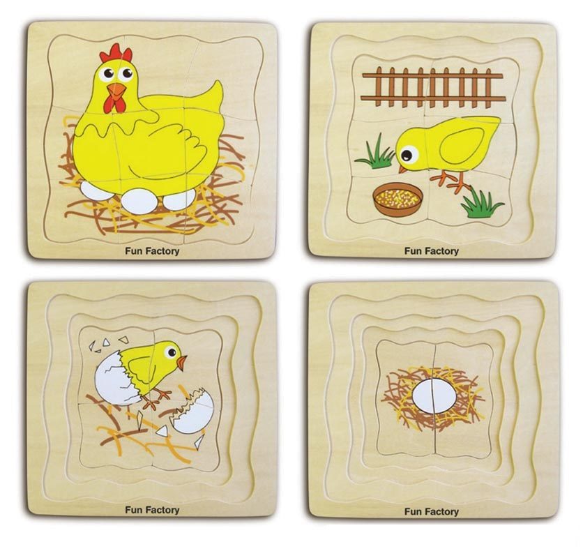 Image of Lifecycle Of A Chicken Layer Puzzle by Fun Factory