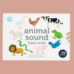 Animal Sounds Flash Cards