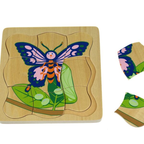 Frog Lifecycle 4 Layers Puzzle