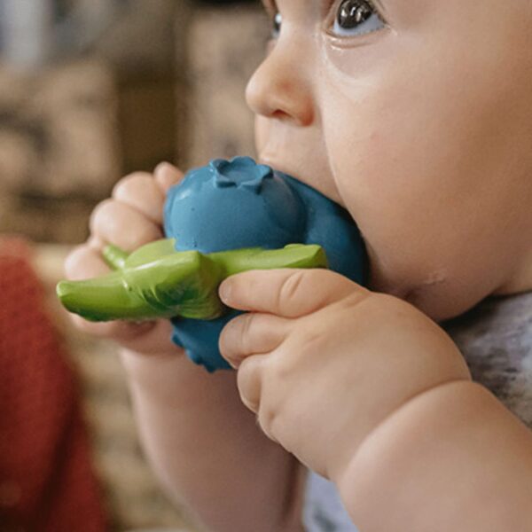 Jerry the Blueberry Fruit Teether by Oli & Carol