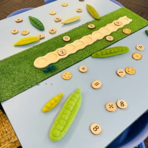 Peapod Math Set by QToys