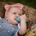 Blue Bird Teether