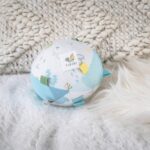 Ocean Organic Activity Ball