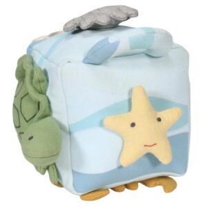 Ocean Activity Cube for learning