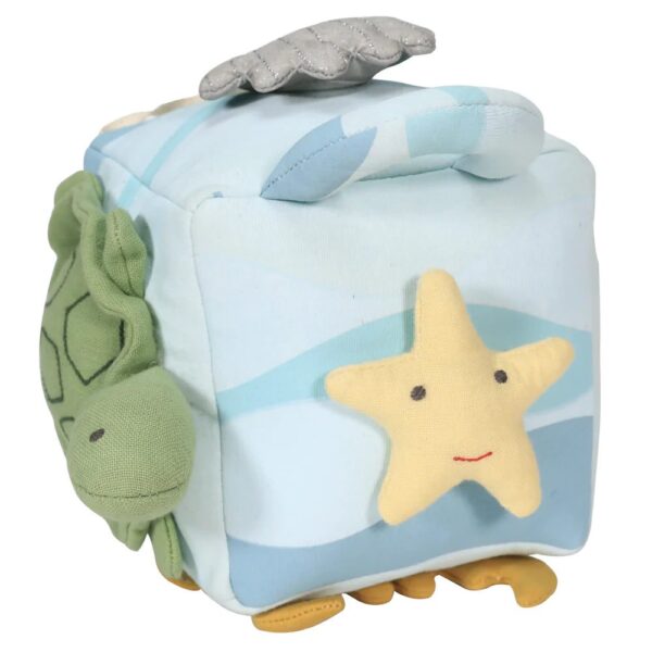 Ocean Activity Cube for learning