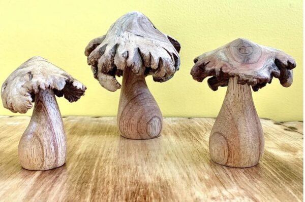 Wood Rose Mushrooms