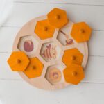 Bee Life Cycle Hive by QToys