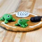 Felt Lifecycle of a Frog by Tara Treasures