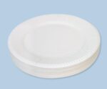 White Paper Plates