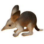 Bilby Replica (Small) by Science & Nature For Kids