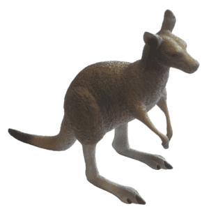 Grey Kangaroo (Large) Replica by Science & Nature