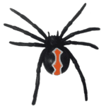 Katipo Spider Replica via Science & Nature