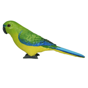 Orange Bellied Parrot by Science & Nature