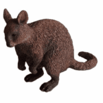 Quokka by Science & Nature