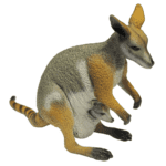 Yellow-footed Rock Wallaby (Big) Replica by Science & Nature