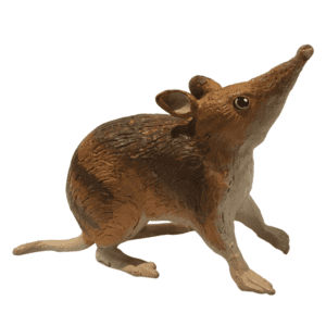 Eastern Barred Bandicoot Replica (Huge) by Science & Nature