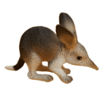 New Bilby Replica (Large) by Science & Nature