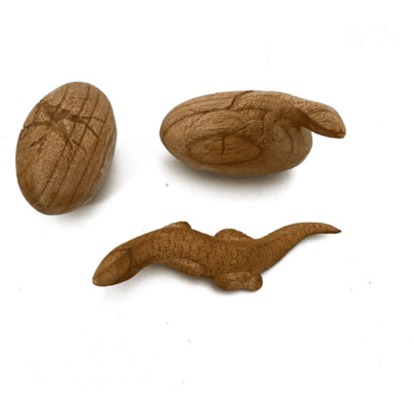 Lizard Life Cycle Wooden (Set of 3) via Papoose