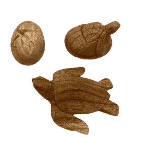 Turtle Life Cycle Wooden (Set of 3) by Papoose For Playing