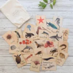 Ocean Animals Flash Cards by My Mini Set