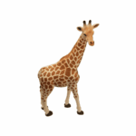 Giraffe Replica by Science & Nature