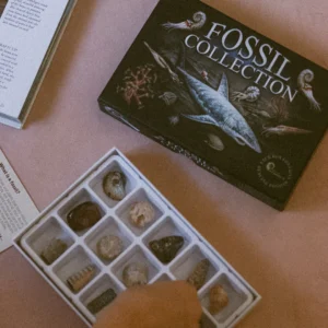 Science & Investigation