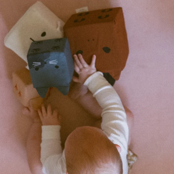 soft block animal pack for babies