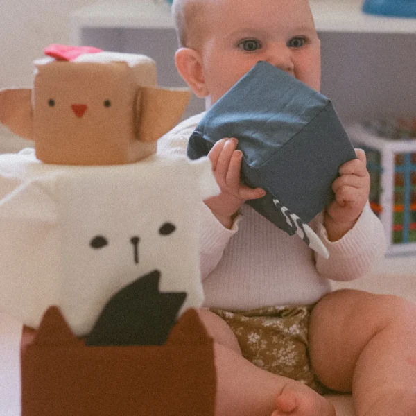 Soft Baby Farm Animals Blocks Pack for babies