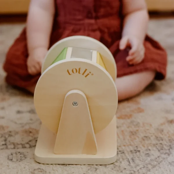 Montessori Baby Toys